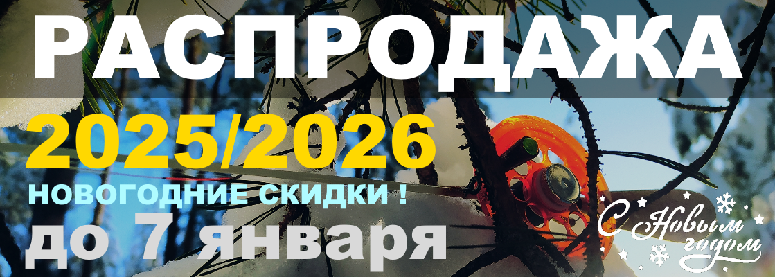 Новогодняя скидка