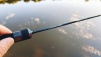 фото 1