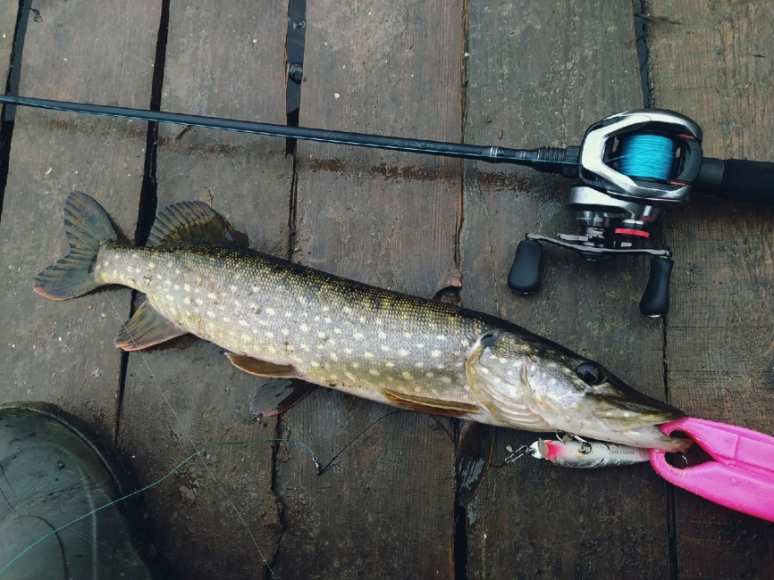 CR6 (одночастник), 201 см, 7-18г, Fast фото 8