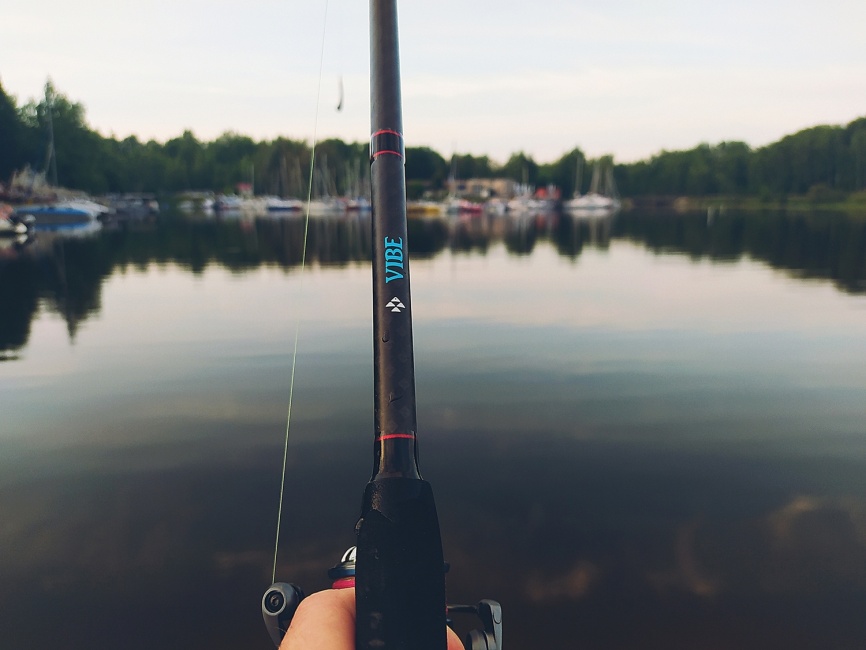 Vibe (двухчастник), 228 см, 3-25г, Hard Solid, Extra Fast фото 4