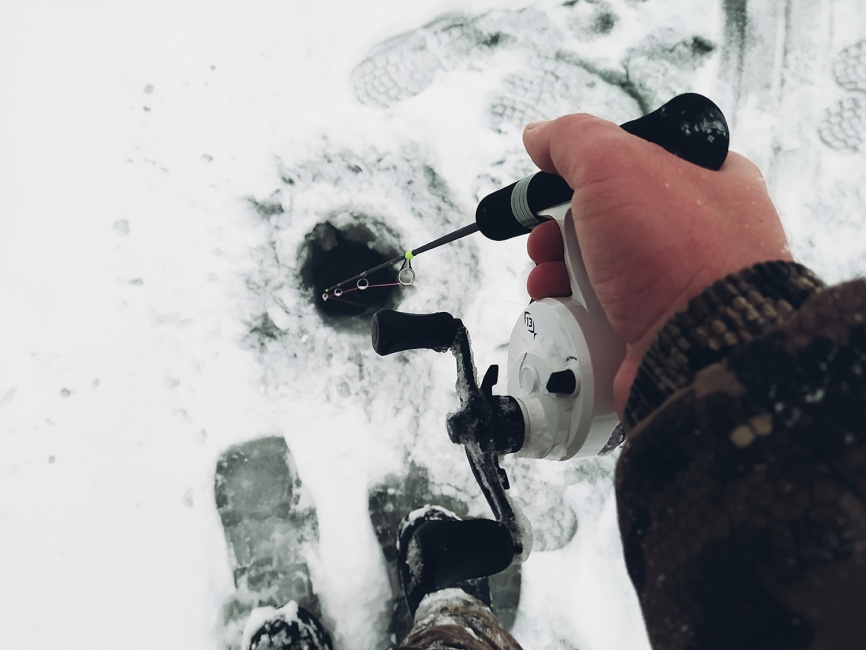 Driver-1 Short (4 разных хлыста + ручка), 65 см фото 13