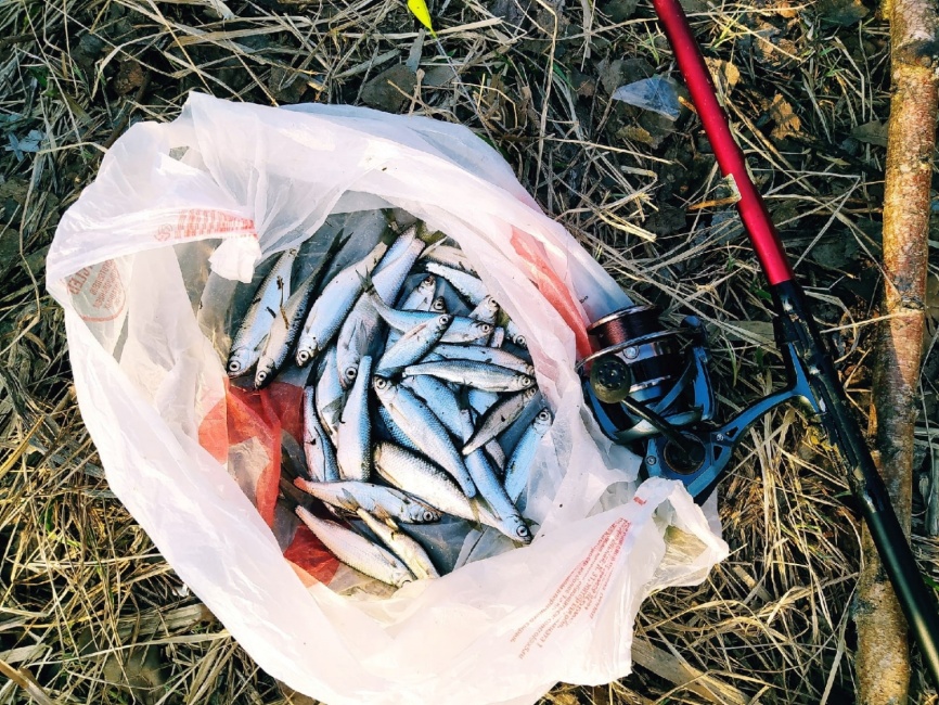  AJI-RING №0.5 с ушком, покрытие BN (10 шт) фото 8