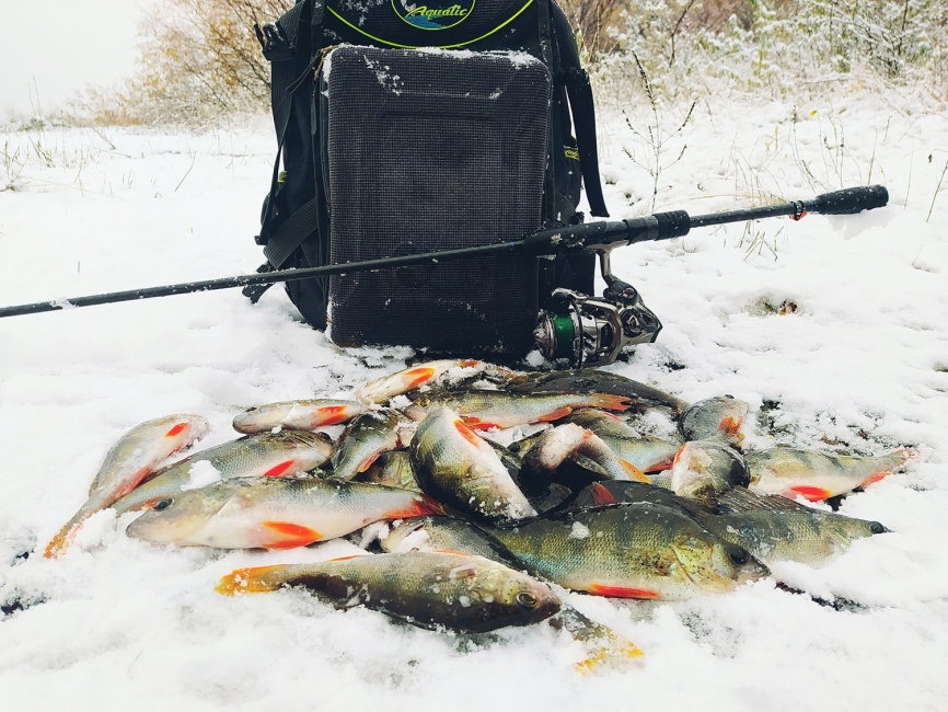 Fogel (двухчастник), 228 см, 5-21г, Medium Fast фото 4