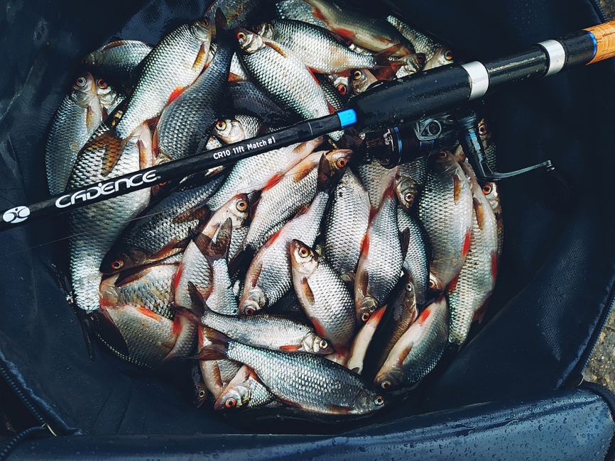 CR10 Match #2 (11ft), 330 см, 2-20г фото 1