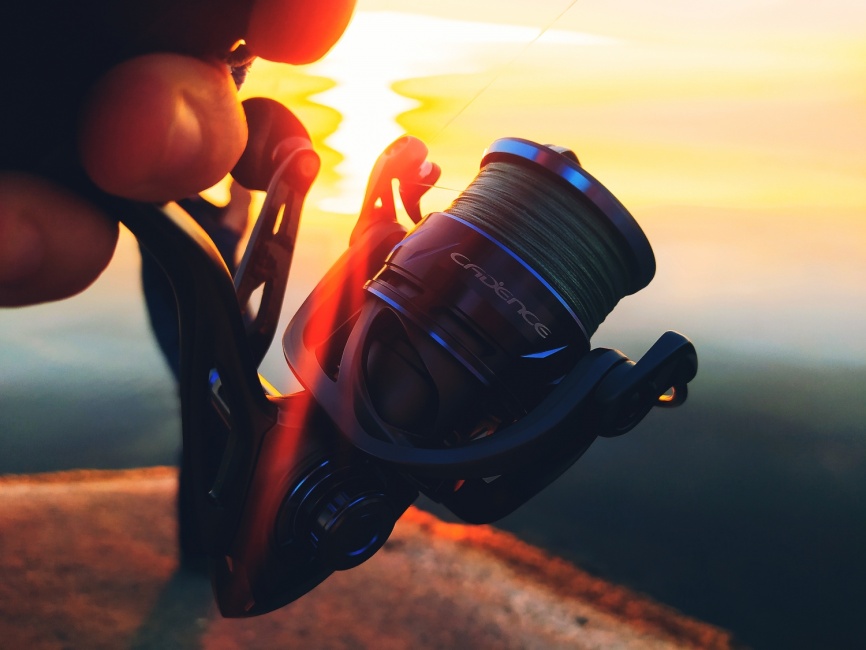 CS10 MG (mg-carbon-al, №2000) low speed фото 10