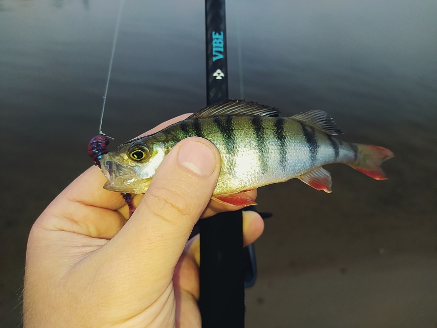 Vibe (двухчастник), 228 см, 3-25г, Hard Solid, Extra Fast фото 10