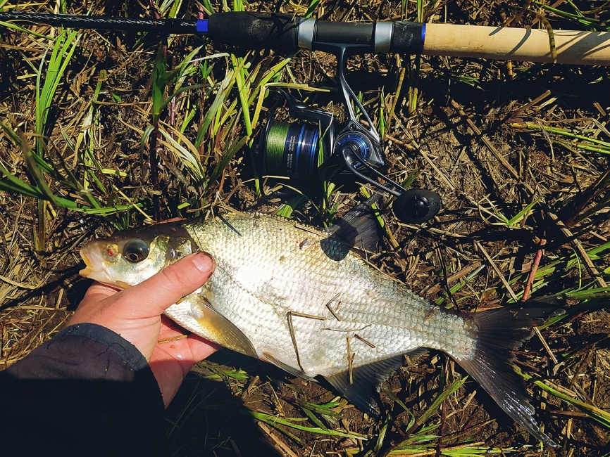 CS10 Match 3000 фото 2