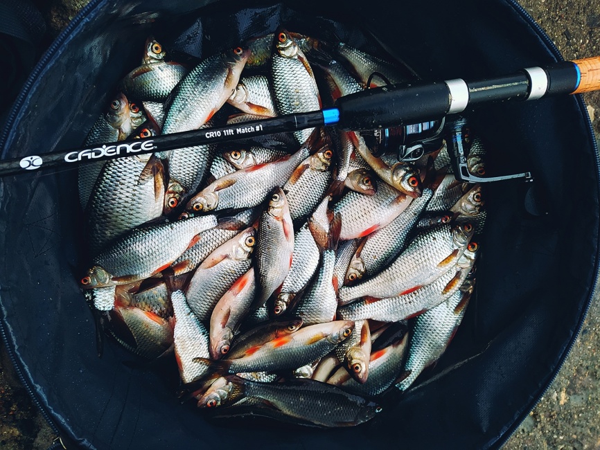 CR10 Match #3 (11ft), 330 см, 2-30г фото 8