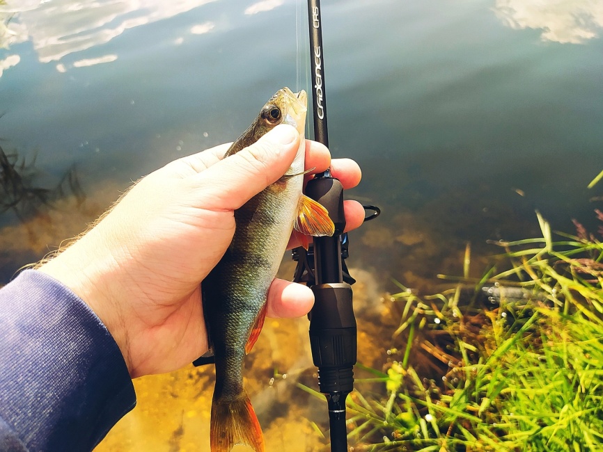 CR5 UL (двухчастник), 198 см, 1-7г, Moderate Fast фото 20