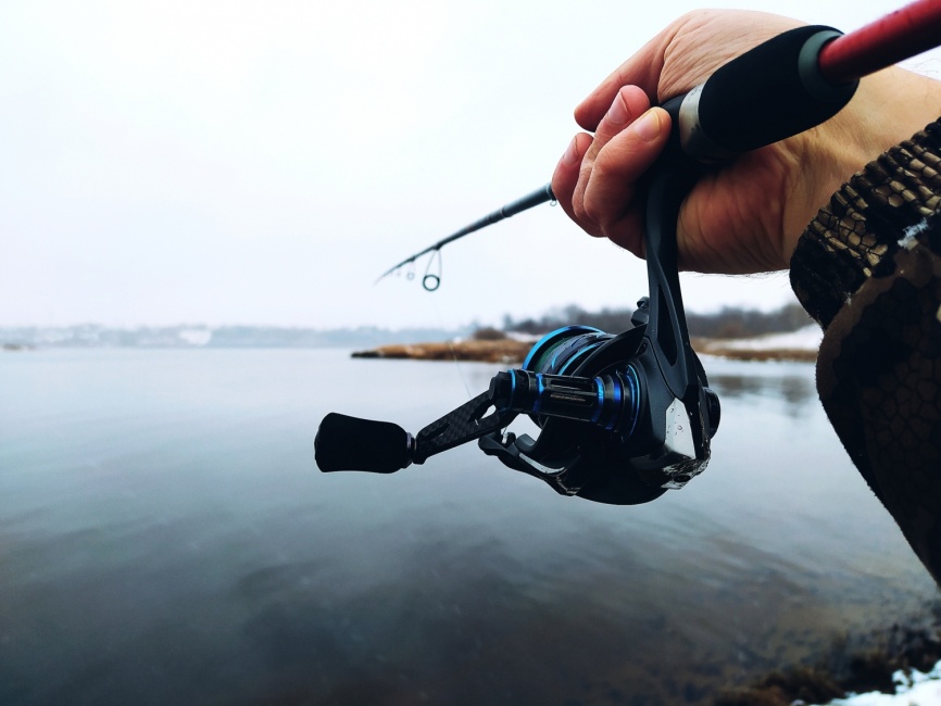 CS10 MG (mg-carbon-al, №2000) low speed фото 12