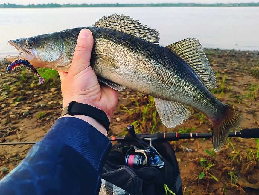 Primo 862S-MF (двухчастник), 259 см, 7-28г, Fast фото 5