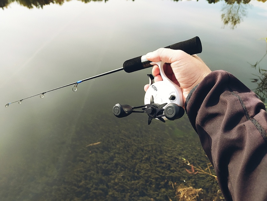 Driver-1 Short (4 разных хлыста + ручка), 65 см фото 10