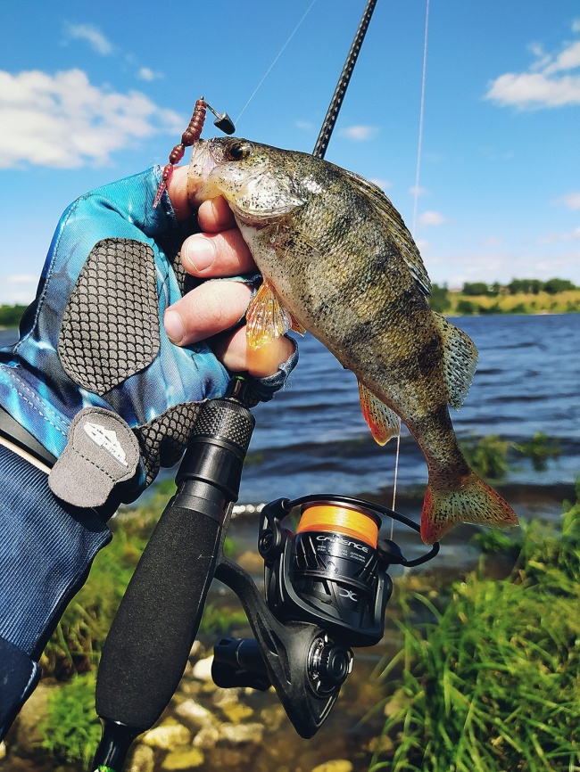 CS5 Pro MG (f-carbon-al, №4000) low speed фото 5