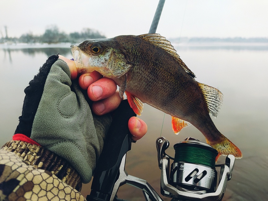 Fogel (двухчастник), 210 см. 4-18г, Medium Fast фото 10