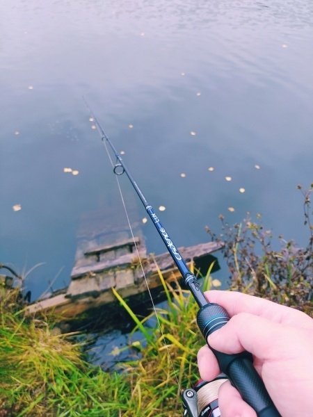 Lux (одночастник), 213 см, 11-28г, Fast фото 2