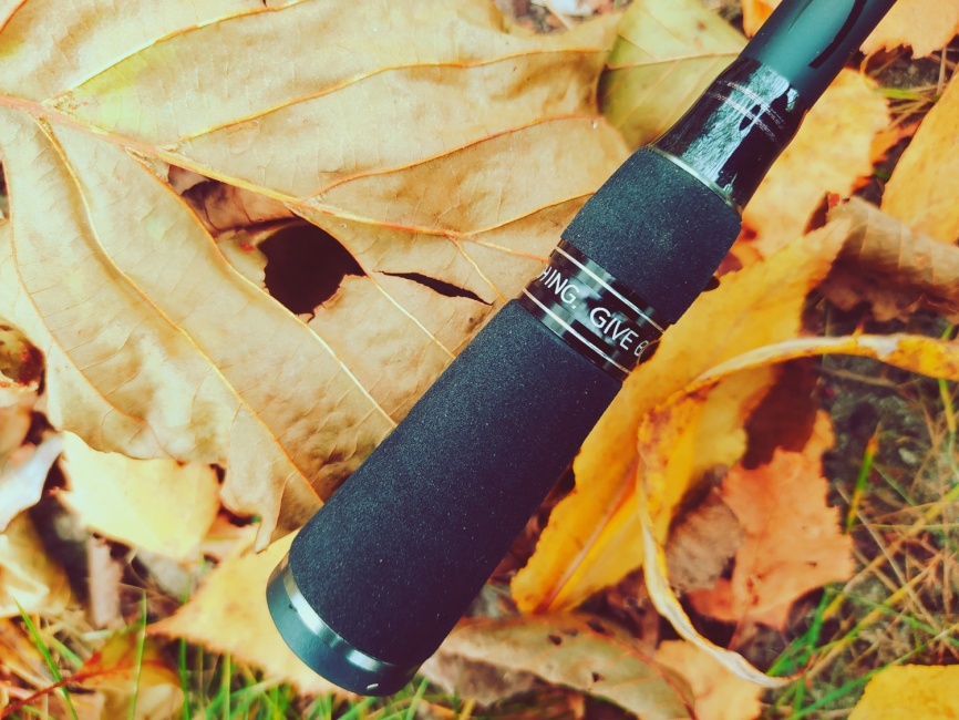 CR6 (одночастник), 201 см, 7-18г, Fast фото 7