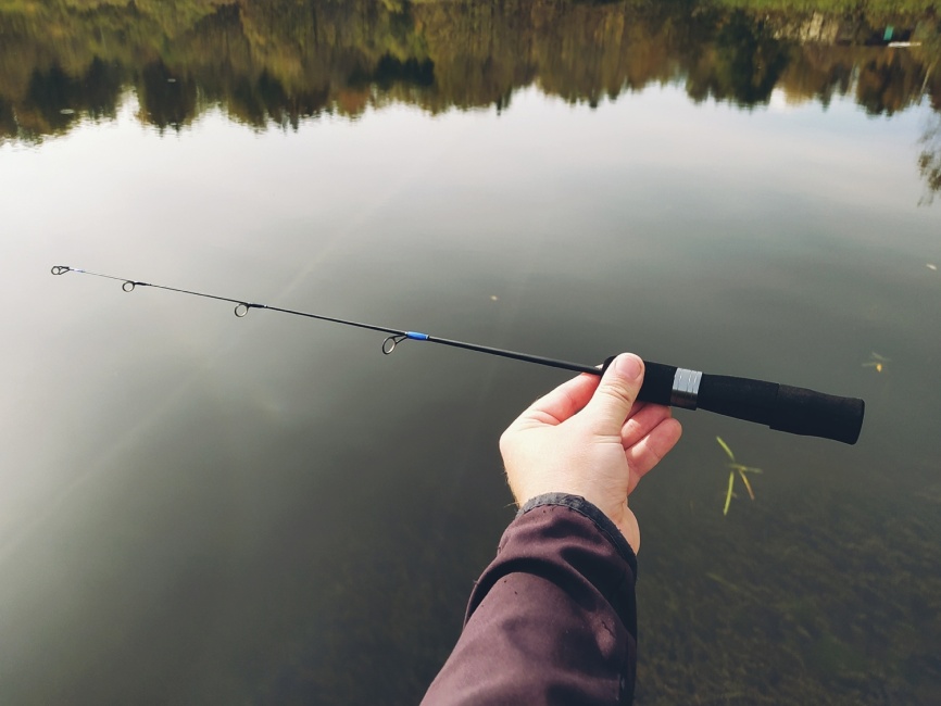 Driver-1 Short (4 разных хлыста + ручка), 65 см фото 16