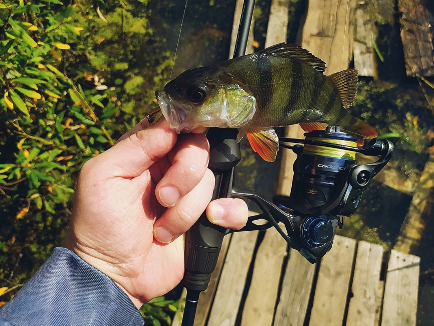 CR5 UL (двухчастник), 198 см, 1-7г, Moderate Fast фото 21