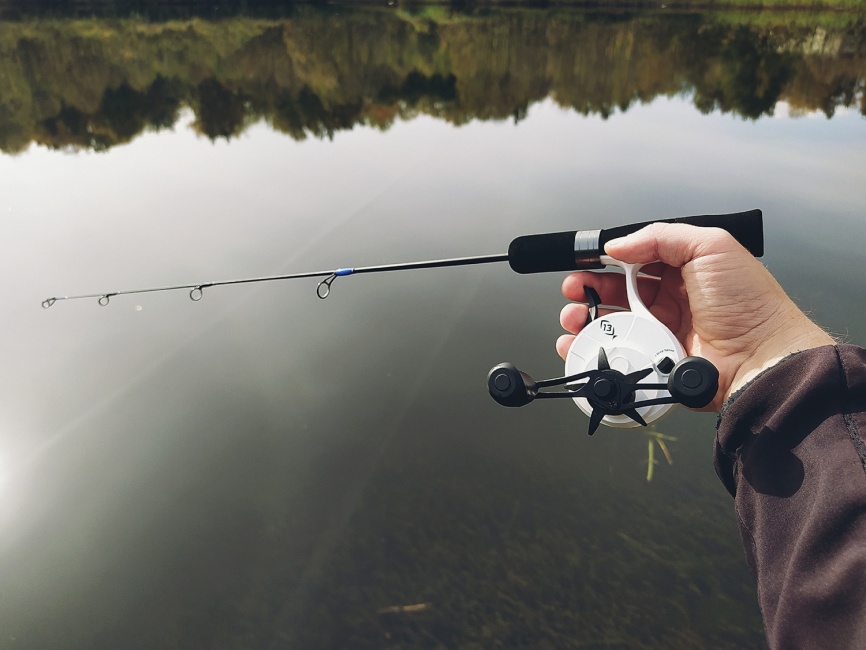 Driver-1 Short (4 разных хлыста + ручка), 65 см фото 3