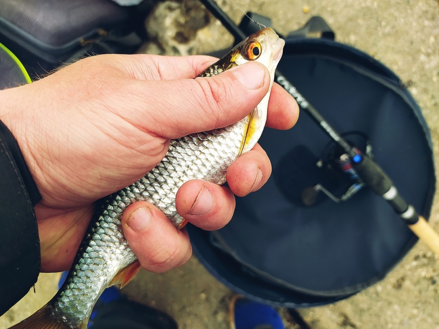 CR10 Match #2 (11ft), 330 см, 2-20г фото 5