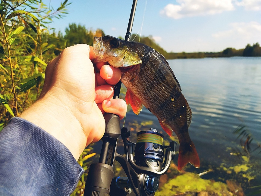 CR5 UL (двухчастник), 198 см, 1-7г, Moderate Fast фото 15