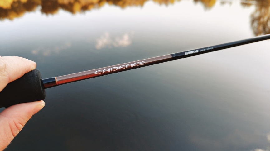 2026 Cadence Averon Chub 672L, 200 см, 2-10г, Fast фото 8