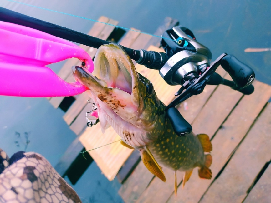 CR6 (одночастник), 201 см, 7-18г, Fast фото 5