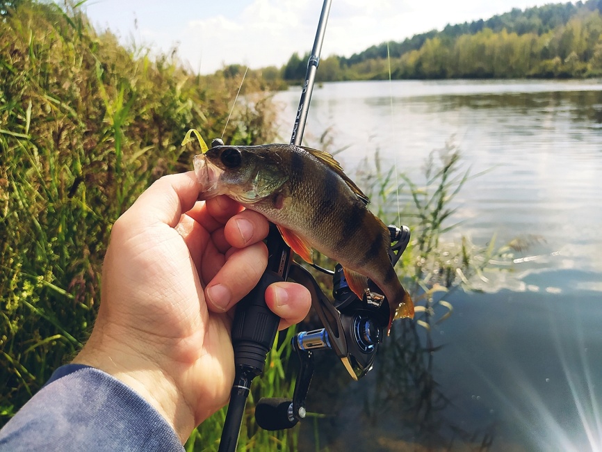 CR5 UL (двухчастник), 198 см, 1-7г, Moderate Fast фото 19