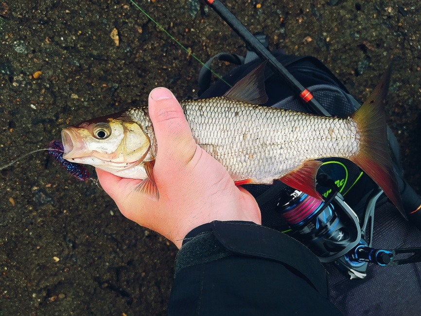 Primo 902S-MF (двухчастник), 274 см, 10-30г, Fast фото 9