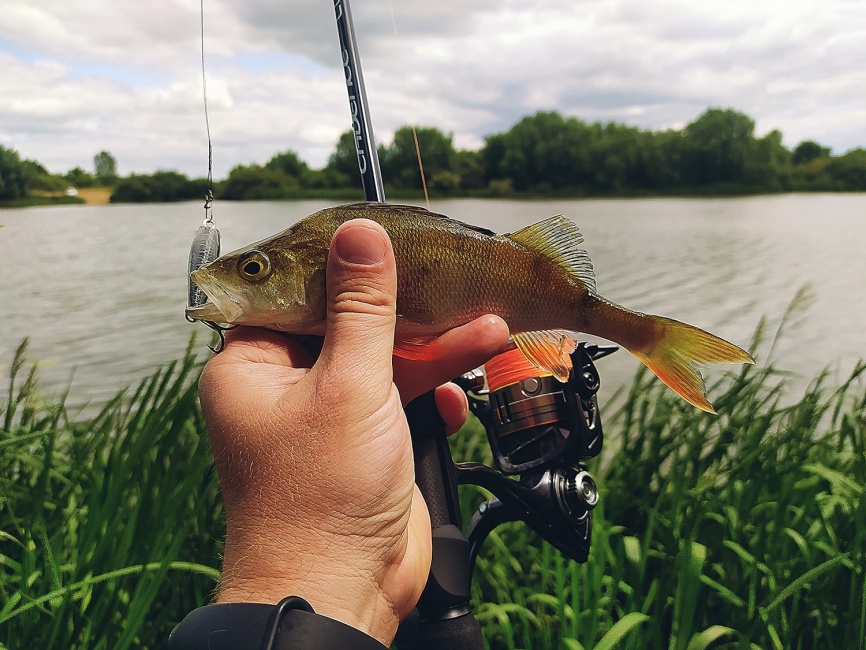 Lux (carbon-al, №1000) фото 3