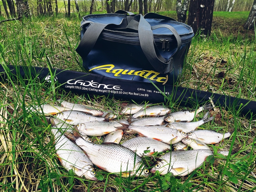 CR10 Feeder #2 (11ft), 330 см, 15-60г, Fast фото 4