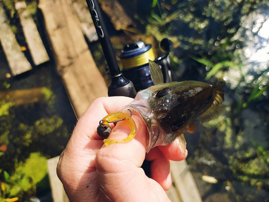 CR5 UL (двухчастник), 198 см, 1-7г, Moderate Fast фото 12