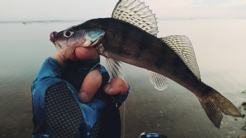 09.07.2022. Горьковское водохранилище. Городецкий район.