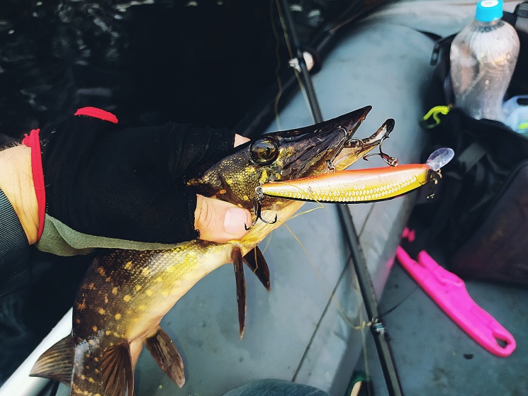 ЛОВЛЯ ЩУКИ В ЖАРУ. СНАСТИ. ПРИМАНКИ.