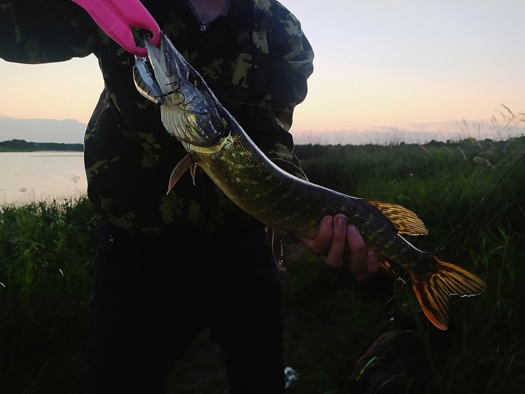 28.07.2022. Озеро в Балахнинском районе