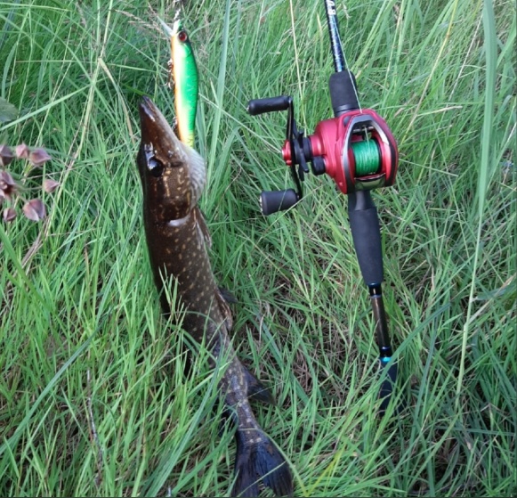 19.07.2022. Озера Балахнинского района.