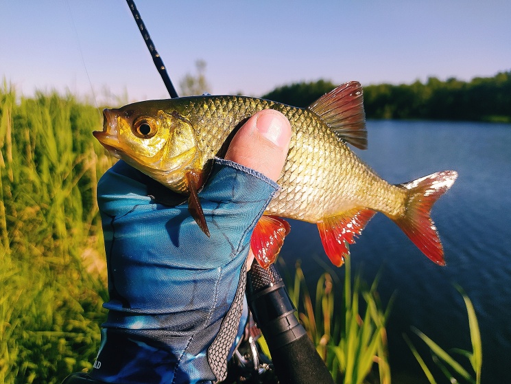 26.06.2022. Мормышинг. Часть 2. Городецкий район