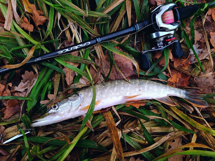 9 и 16 окт. 2022. Волга и Озера