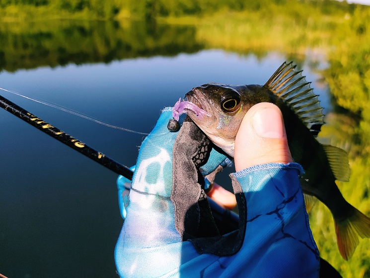 26.06.2022. Мормышинг. Городецкий район