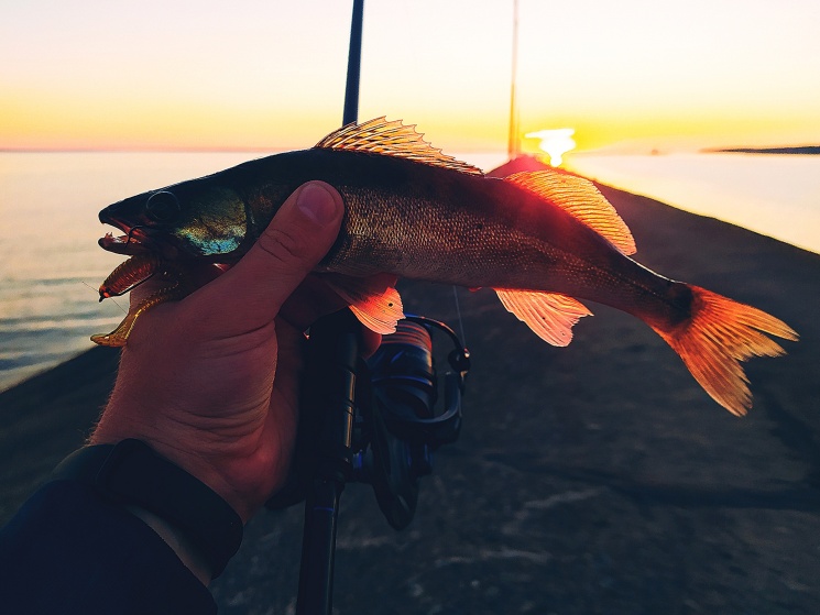 24.06.2022. Городецкий маяк