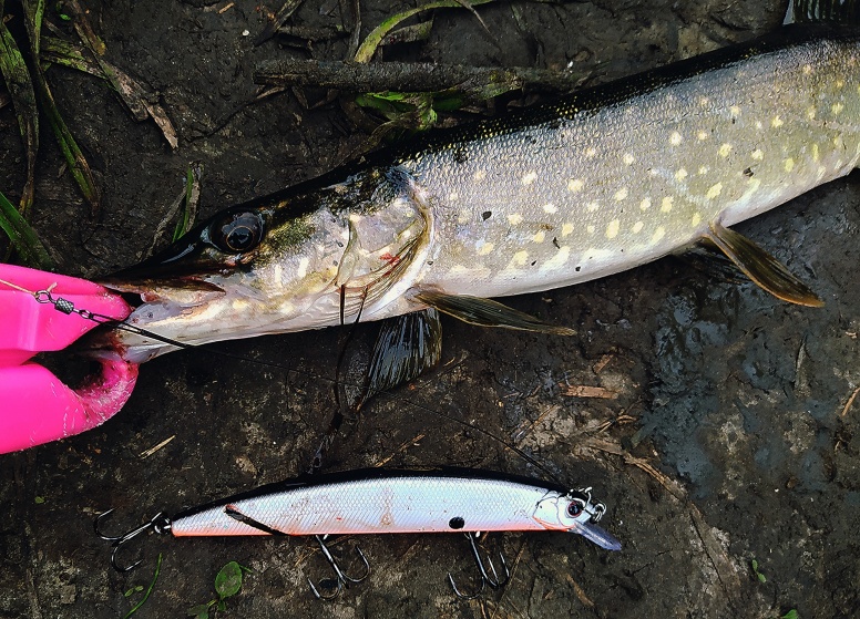 15 и 17 августа 2022. Озеро в Городецком районе