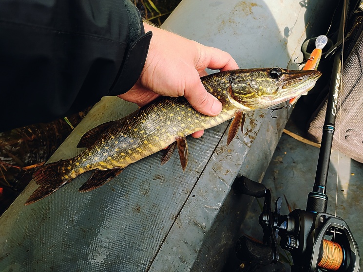 25.09.2022. Карьеры в Балахнинском районе.