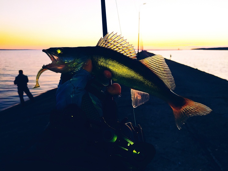 22.06.2022. Городецкий маяк.