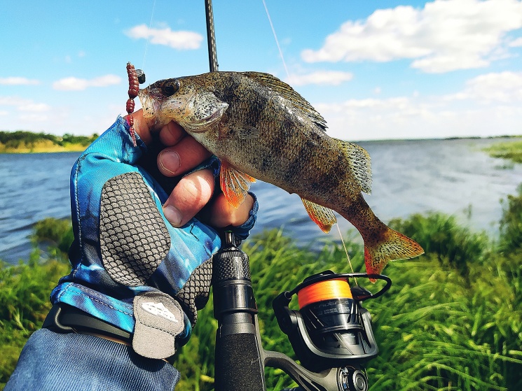 28.06.2022. Смирино