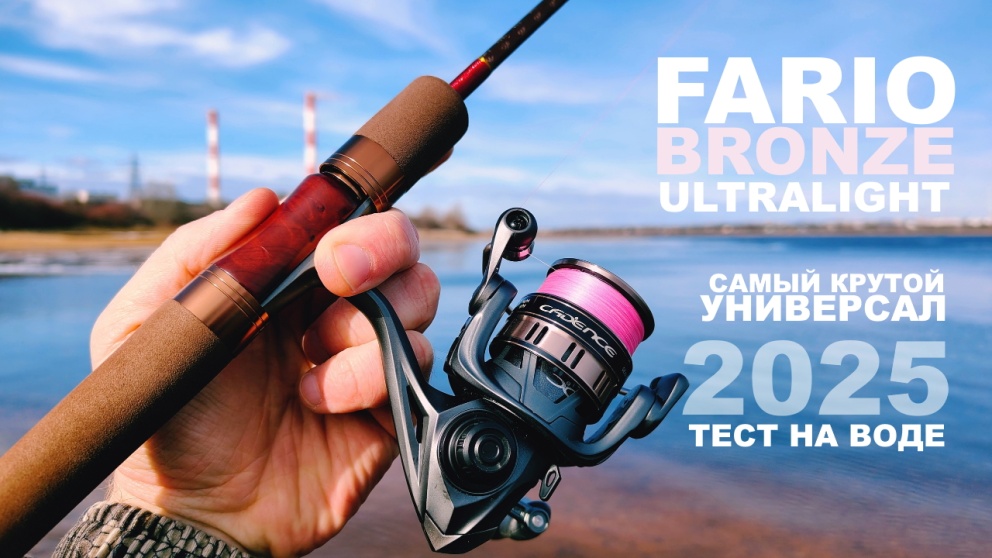 ТЕСТ FARIO BRONZE