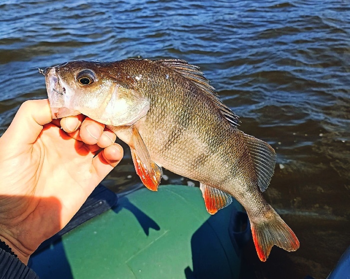 04.09.2022. Одна из малых рек Чкаловского района.