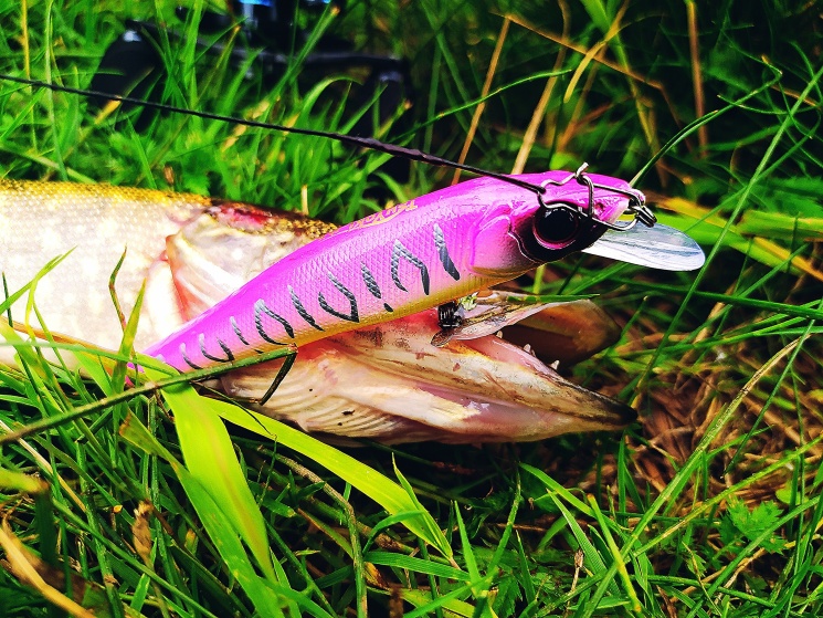 12.07.2022. Озера Балахнинского района.