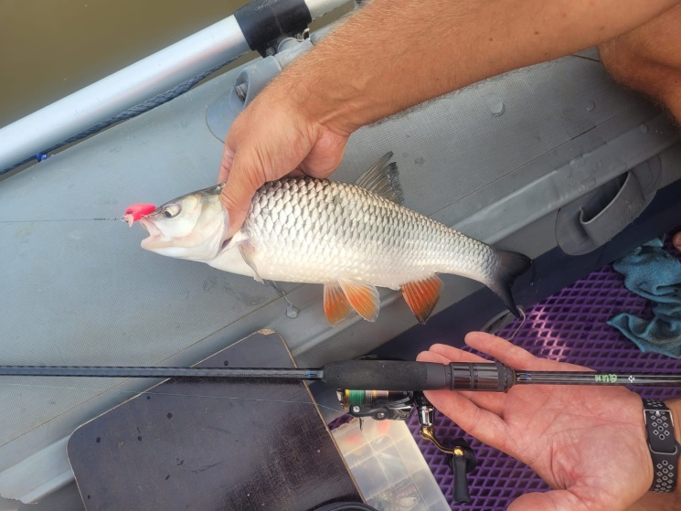26.08.2022. Река Ока. Городской округ Дзержинск