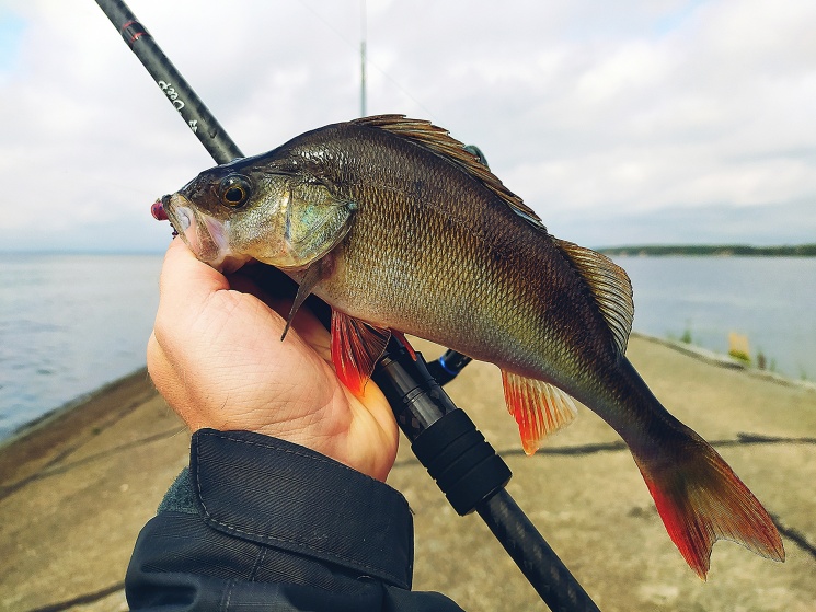16.09.2022. Горьковское водохранилище. Городецкий район. Насыпь маяка