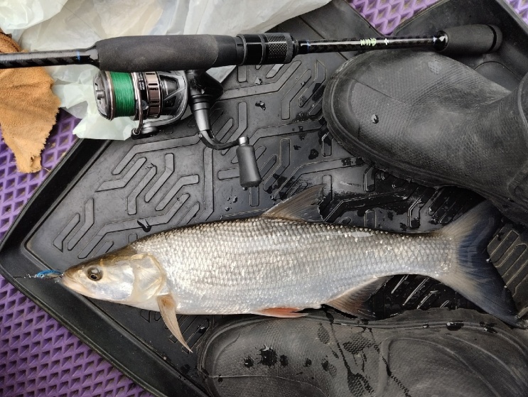 10-15 окт. река Ока